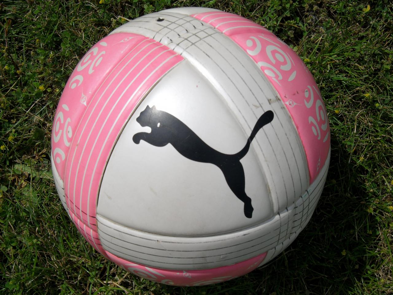Ballon officiel PUMA ligue 1 2011-2012 2ème partie de championnat.