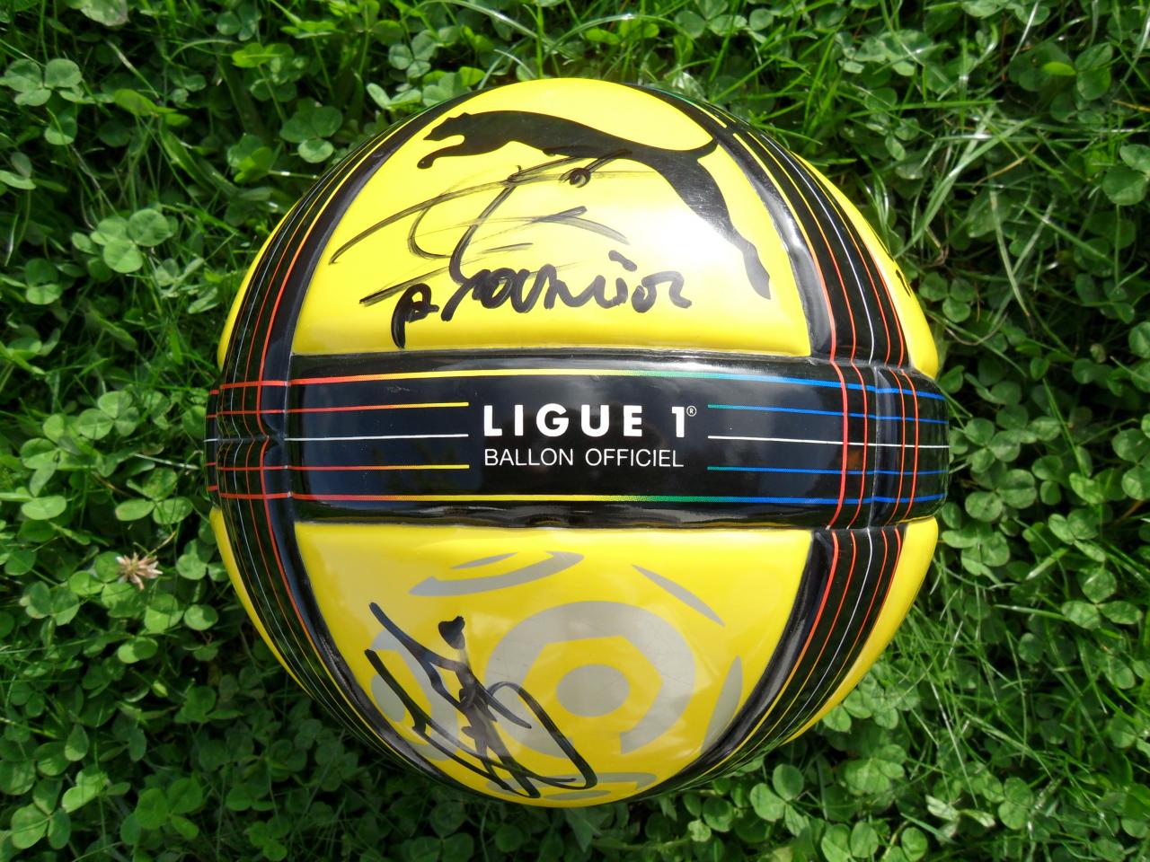 Ballon officiel ligue 1 2010-2011 2 ème partie de championnat.