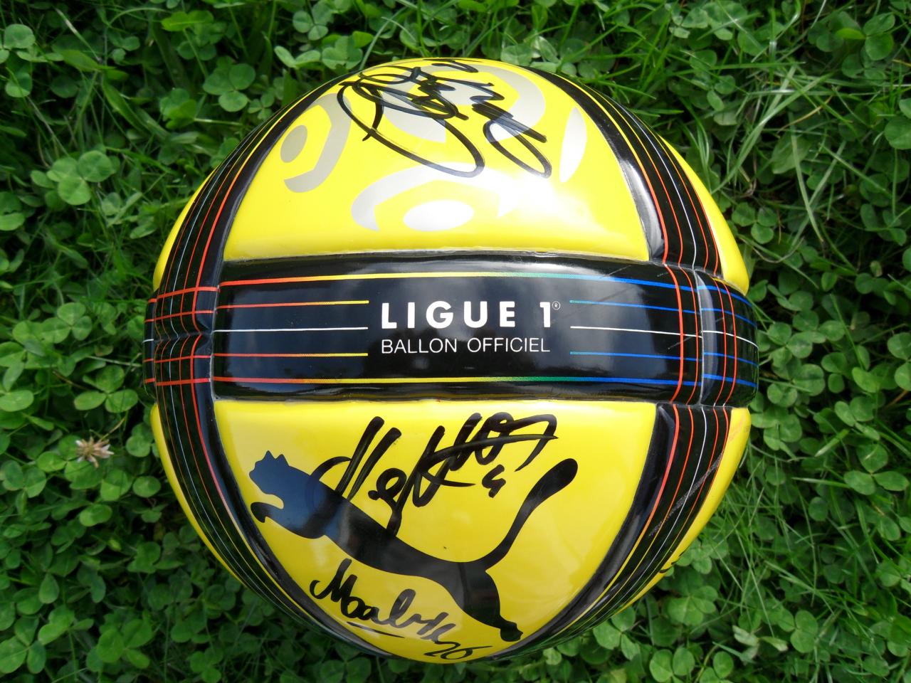 Ballon officiel ligue 1 2010-2011 2 ème partie de championnat.